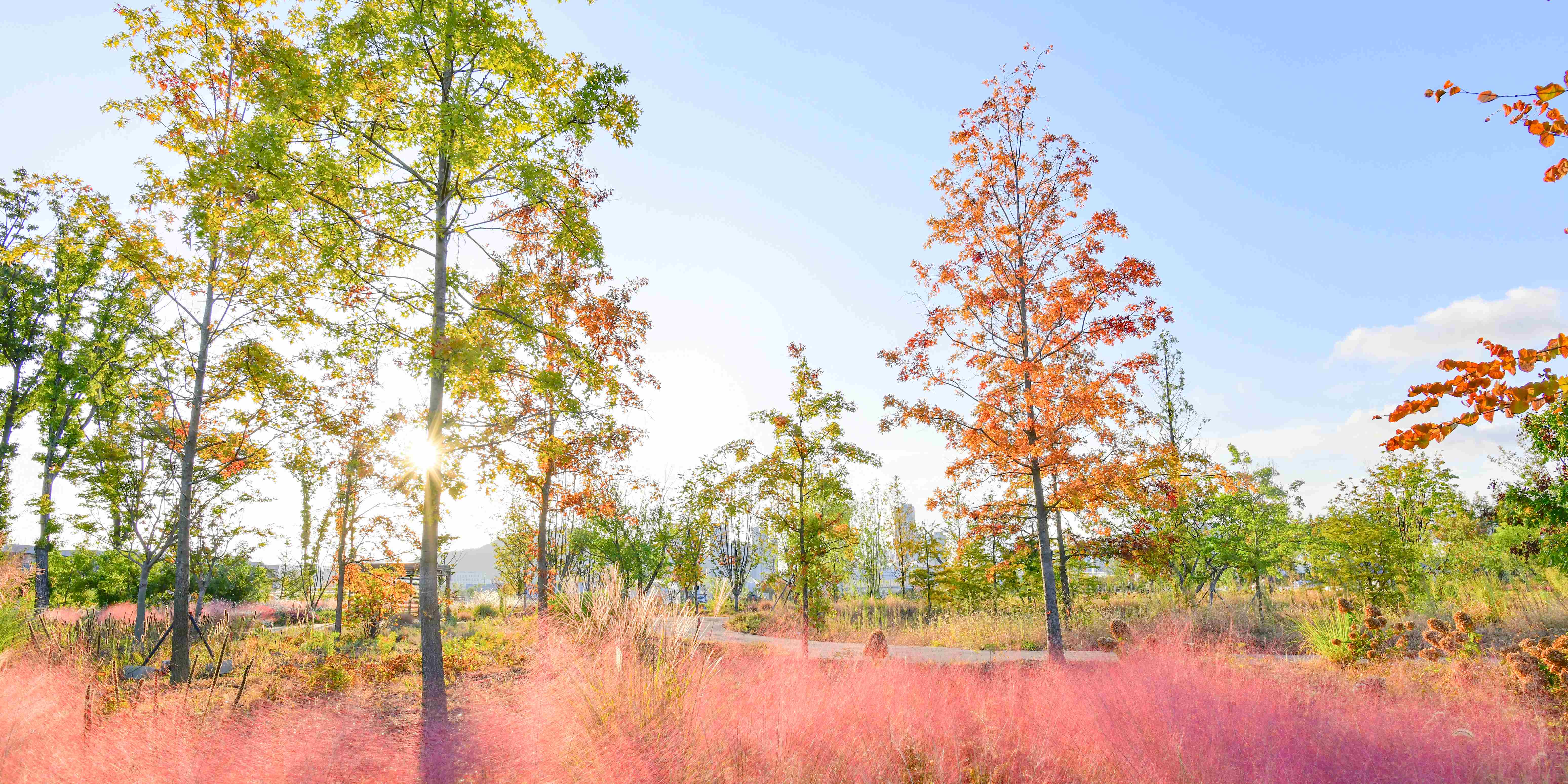 국립세종수목원 이미지 2 (야외 정원)